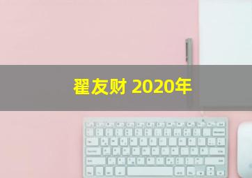 翟友财 2020年